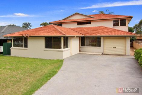 55 Gardenia Pde, Greystanes, NSW 2145
