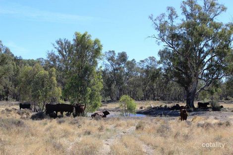 Lot 11 Felton Dr, Murray Downs, NSW 2734