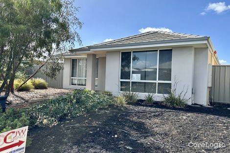 Property photo of 6 Gribble Circuit Vasse WA 6280