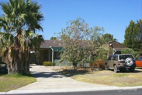 105 Warrandyte Dr, Craigie, WA 6025