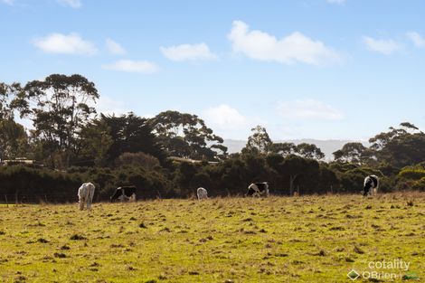 Property photo of 5 Griffiths Street Ventnor VIC 3922