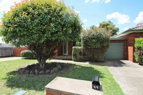 1/1 Wakeford St, Orange, NSW 2800