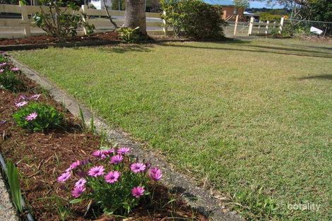 Property photo of 143 Dahlia Street Cannon Hill QLD 4170