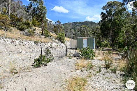 Property photo of 159 Millers Road Lachlan TAS 7140