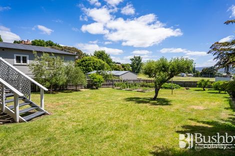 Property photo of 12 Tasma Street East Launceston TAS 7250