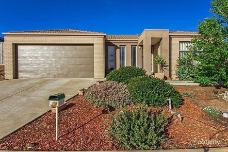 Property photo of 38 Cootamundra Circuit Harkness VIC 3337