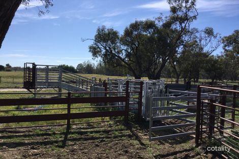 382 Sandy Bridge Rd, Barham, NSW 2732