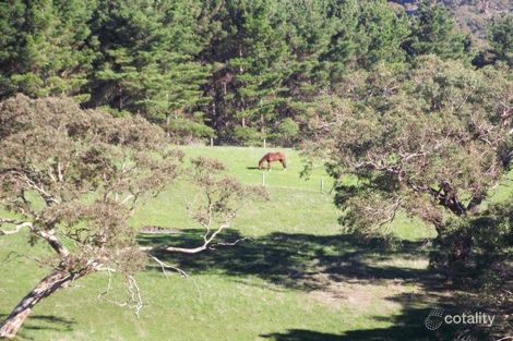 51 Bullaparinga Cres, Delamere, SA 5204