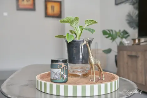 Property photo of 6 Cannon Lane Kangaroo Flat VIC 3555