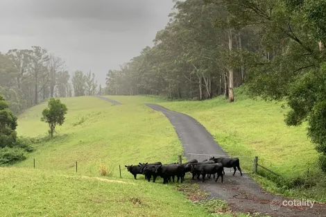 65d Marden Lane, Kangaroo Valley, NSW 2577