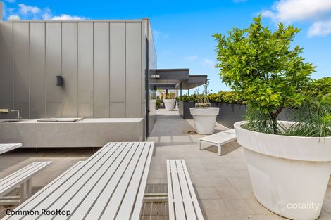 Property photo of 206/37 Bayswater Road Potts Point NSW 2011
