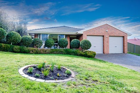 Property photo of 12 Hillock Avenue East Albury NSW 2640