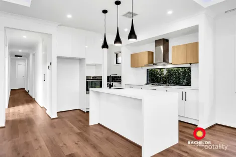 Property photo of 91 Solandra Crescent Modbury North SA 5092