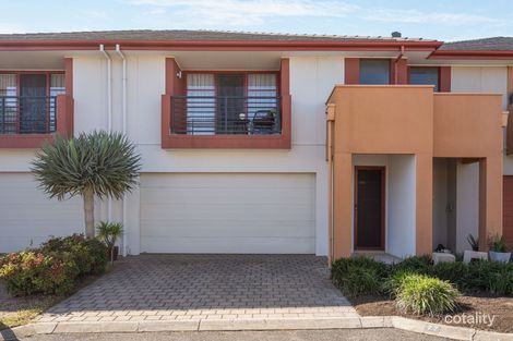 Property photo of 77 Folland Avenue Lightsview SA 5085