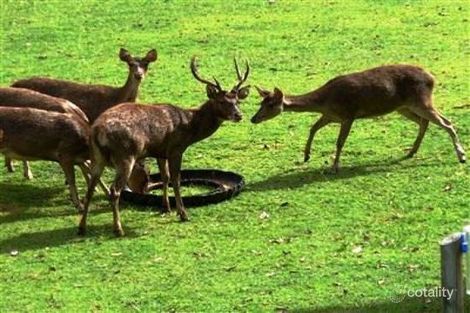 204 Dunwoody Rd, Ball Bay, QLD 4741