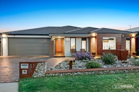 Property photo of 37 Tamara Circuit Langwarrin VIC 3910