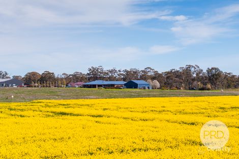 Property photo of 26 Pykes Lane Coolamon NSW 2701