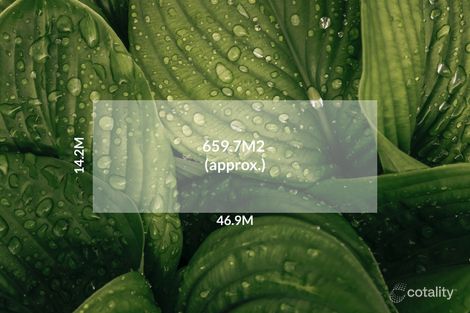 Property photo of 35 Latje Road Robinvale VIC 3549