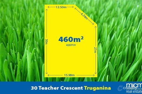 Property photo of 30 Teacher Crescent Truganina VIC 3029