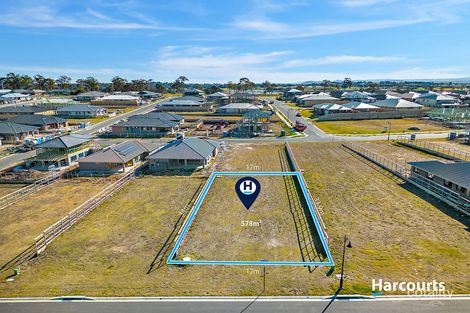 14 Odanata St, Chisholm, NSW 2322