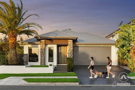 31 Stirling Cct, Pimpama, QLD 4209