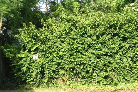 3 St Albans St, Abbotsford, NSW 2046