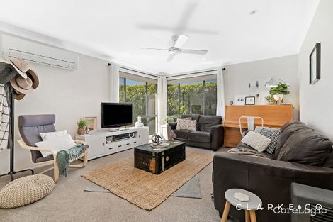 Property photo of 24 Alyce Close Bolwarra Heights NSW 2320