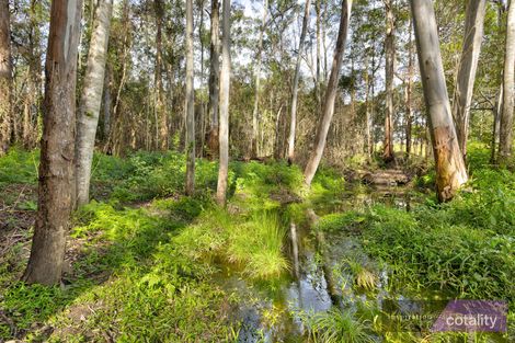 Property photo of 373 Maras Creek Road Utungun NSW 2447