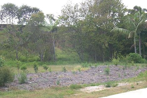 16 Francesca Ct, Underwood, QLD 4119