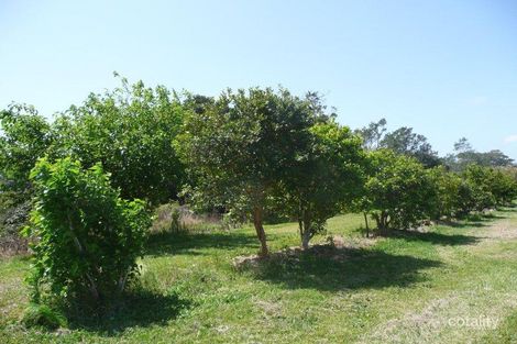 39 Walsh Lane, South Gundurimba, NSW 2480