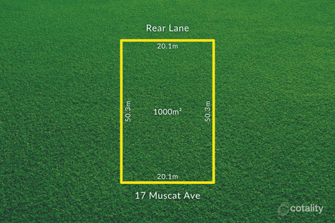 17 Muscat Ave, Berri, SA 5343