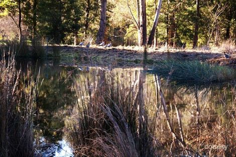 Property photo of 100 Gunn Road Crossover VIC 3821