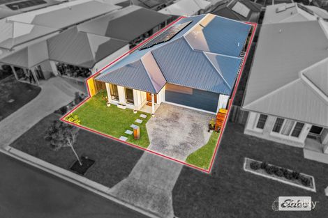 Property photo of 9 Coen Road South Maclean QLD 4280