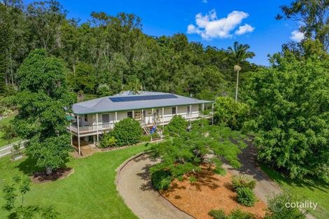 Property photo of 1389 Eumundi Noosa Road Eumundi QLD 4562