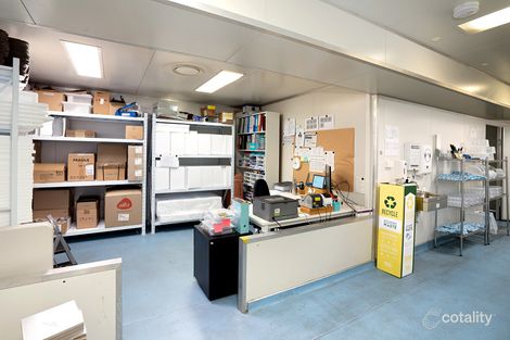 114 Terry St, Rozelle, NSW 2039