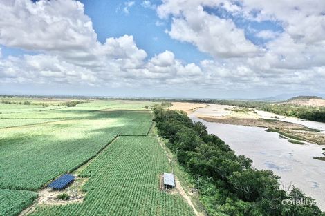 1390 Kirknie Rd, Osborne, QLD 4806