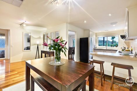 Property photo of 17 Malabar Crescent Eltham VIC 3095