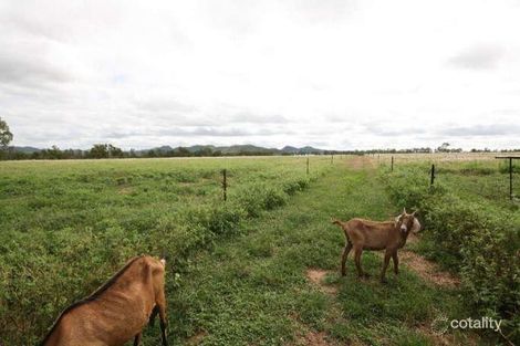 949 Leafgold Weir Rd, Dimbulah, QLD 4872