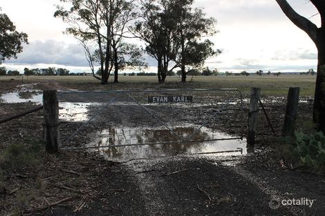 Property photo of 222L Mogriguy Road Eumungerie NSW 2822