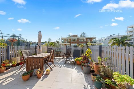 Property photo of 5/41 Ashburner Street Manly NSW 2095
