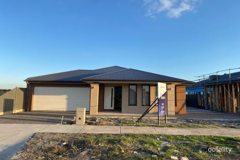 6 Werriberri St, Kalkallo, VIC 3064