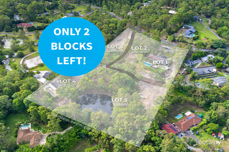 144 Crane Cres, Nerang, QLD 4211