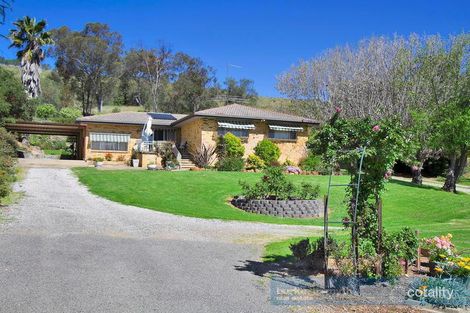258 Back Kootingal Rd, Nemingha, NSW 2340