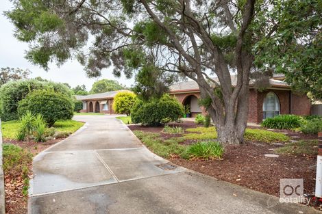 Property photo of 5/66 Forest Avenue Black Forest SA 5035