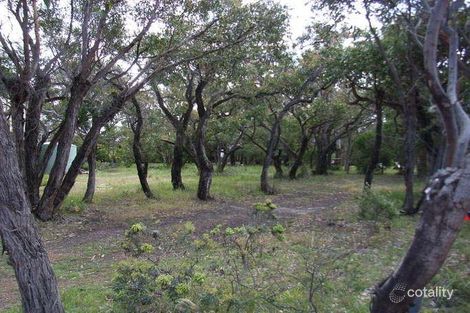 Property photo of 3 Fifth Avenue Anglesea VIC 3230