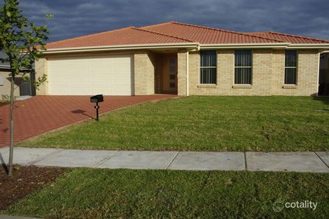 Property photo of 6 Edward Windeyer Way Raymond Terrace NSW 2324