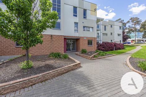 Property photo of 70/10 Thynne Street Bruce ACT 2617