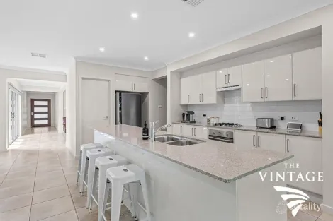 Property photo of 46 Angophora Drive Pokolbin NSW 2320