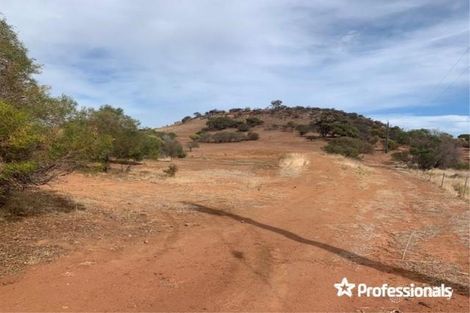 Property photo of 66 Chintapee Road Bringo WA 6532