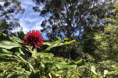 Property photo of 39 Hawke Road Yeagarup WA 6260